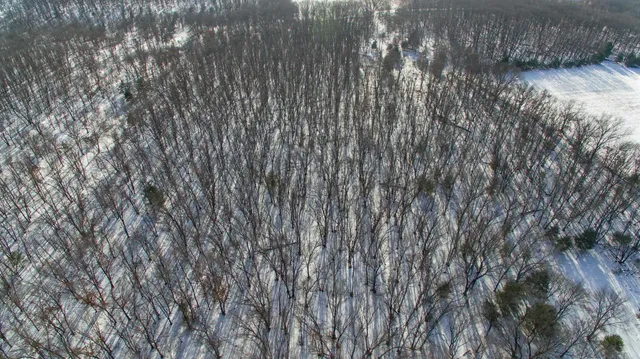 $798,000 | 109-ac 109-ac Fawn Lane, Montello, WI 53949