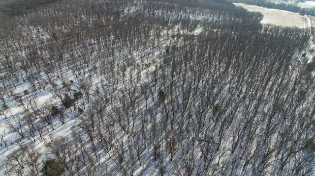 $798,000 | 109-ac 109-ac Fawn Lane, Montello, WI 53949