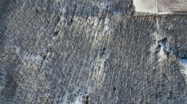 $798,000 | 109-ac 109-ac Fawn Lane, Montello, WI 53949