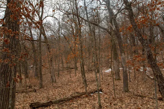 $798,000 | 109-ac 109-ac Fawn Lane, Montello, WI 53949