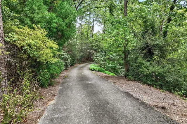 a view of a garden with plants and trees