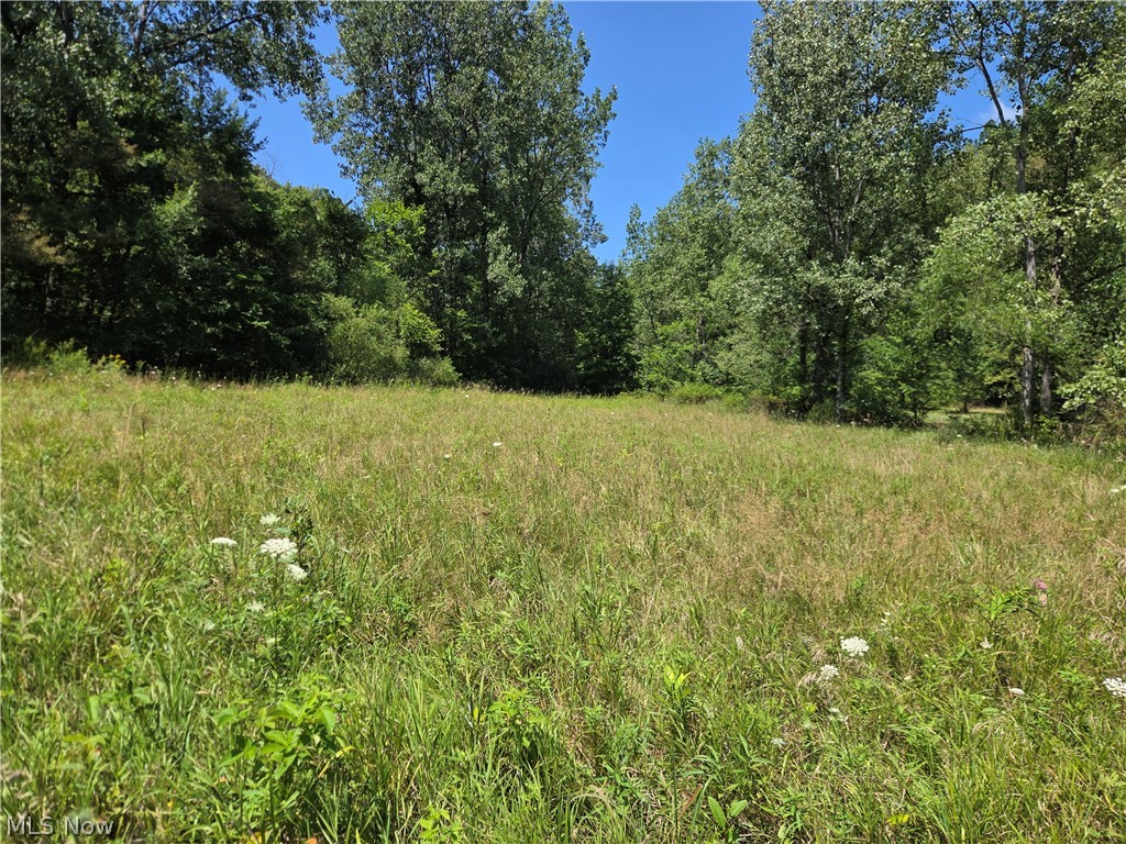 Midvale Mine Road Dennison, OH 44621 - Photo 14 of 16 Gallery Image 14