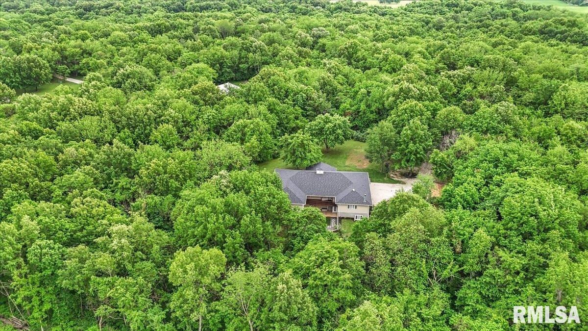 19094 Timber Line Lane Petersburg, IL 62675 - Photo 60 of 69