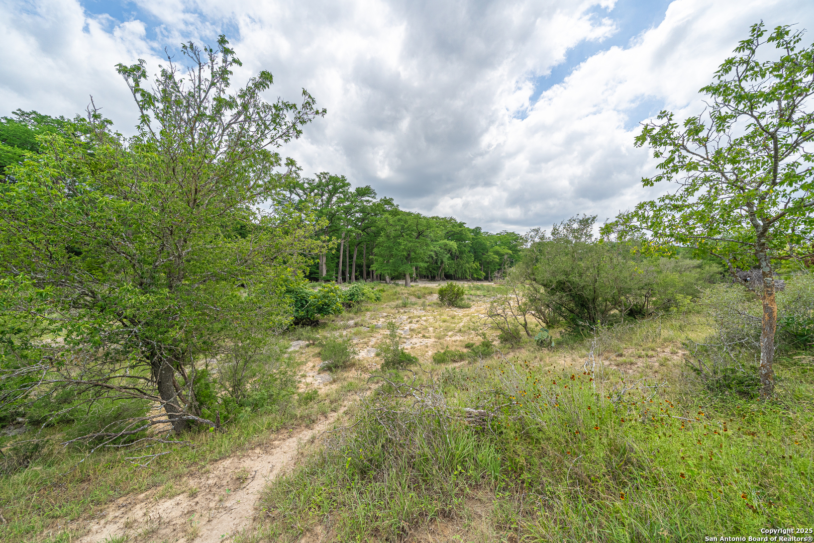 960 River Bend Road Bandera, TX 78003 - Photo 7 of 18
