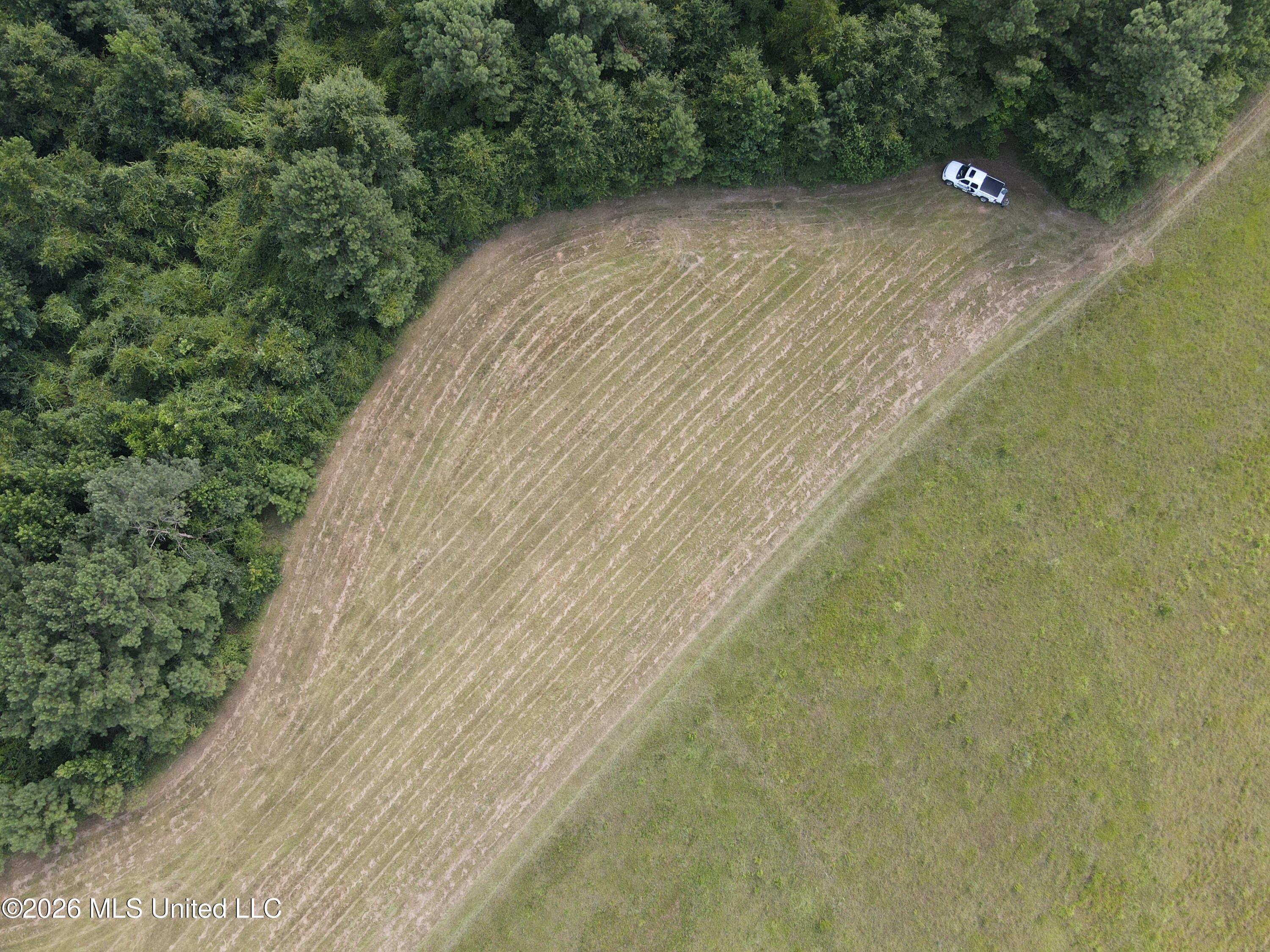Mt Carmel Road Prentiss, MS 39474 - Photo 16 of 53 37927