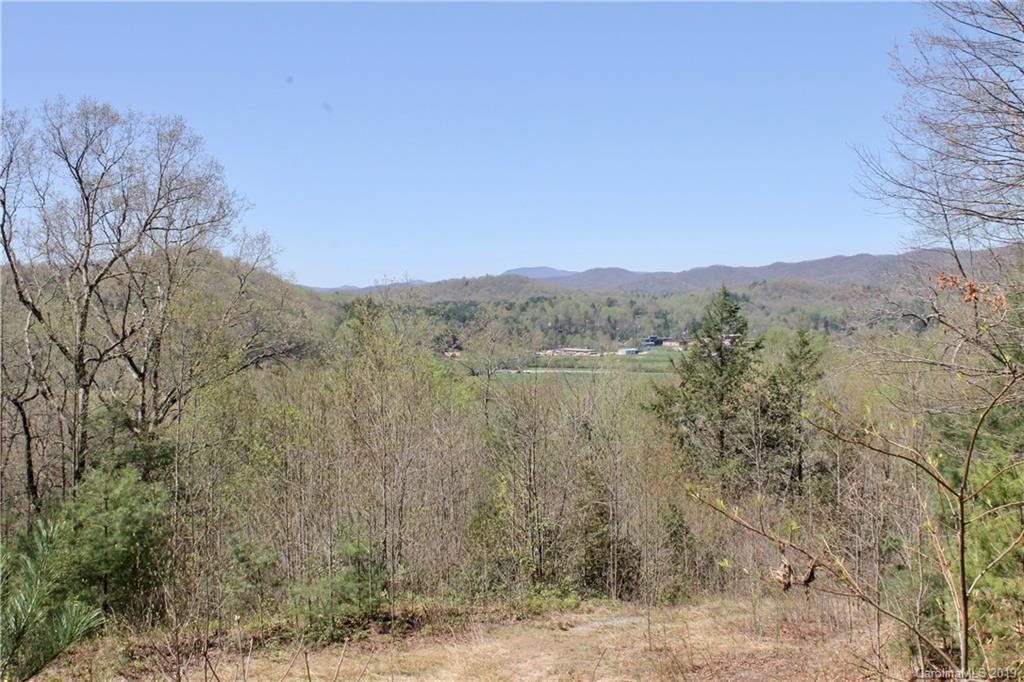 Off Poplar Gap Road Brevard, NC 28712 - Photo 1 of 27 Gallery Image 1