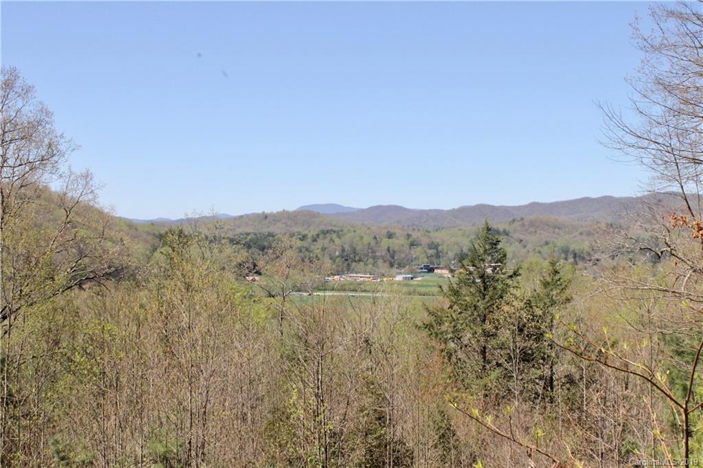 Off Poplar Gap Road Brevard, NC 28712 - Photo 2 of 27 Gallery Image 2