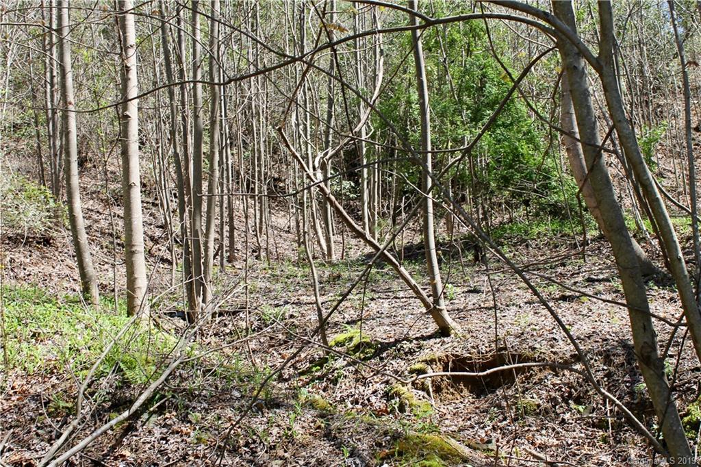 Off Poplar Gap Road Brevard, NC 28712 - Photo 11 of 27 Gallery Image 11