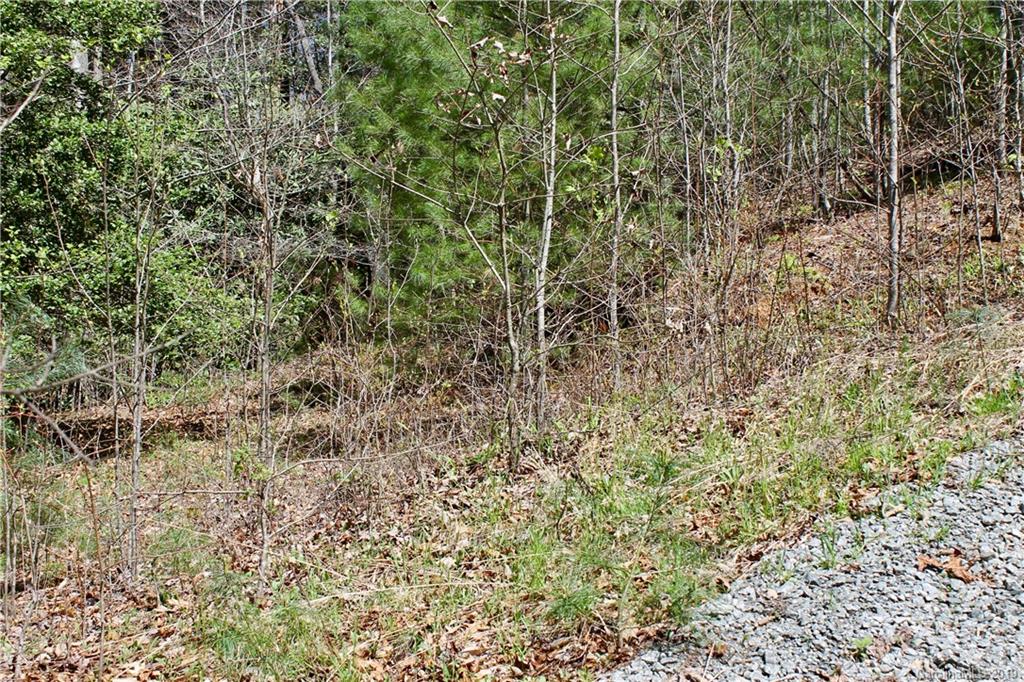 Off Poplar Gap Road Brevard, NC 28712 - Photo 12 of 27 Gallery Image 12