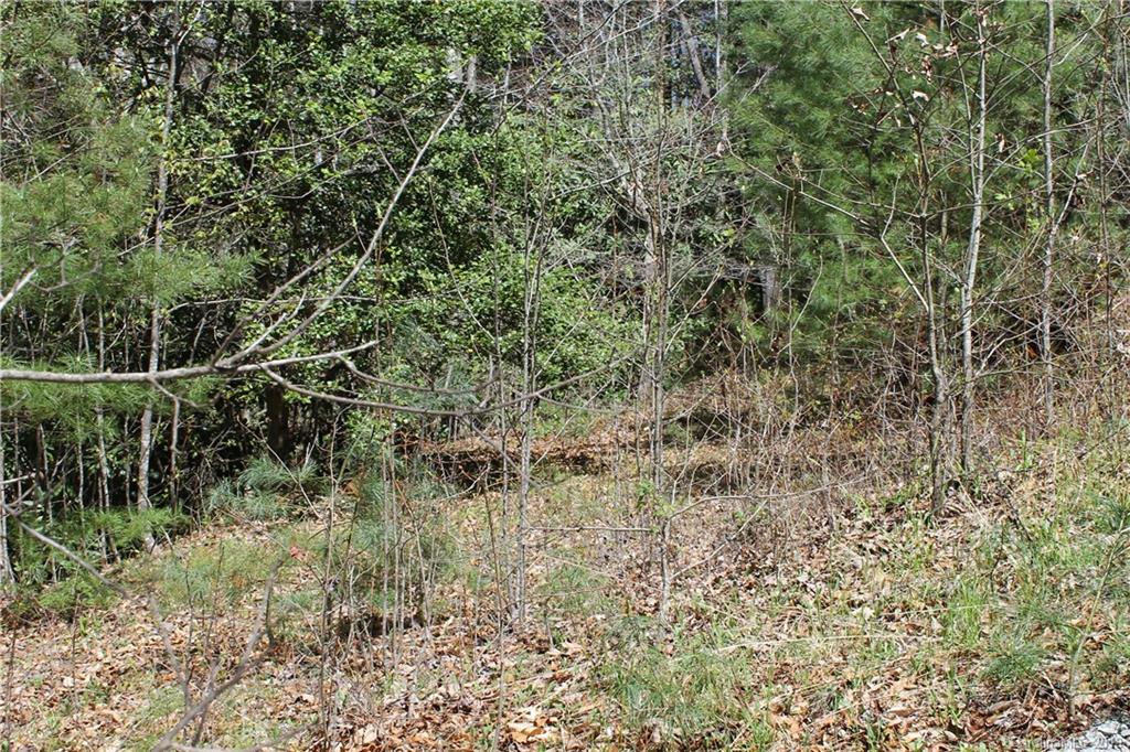 Off Poplar Gap Road Brevard, NC 28712 - Photo 13 of 27 Gallery Image 13