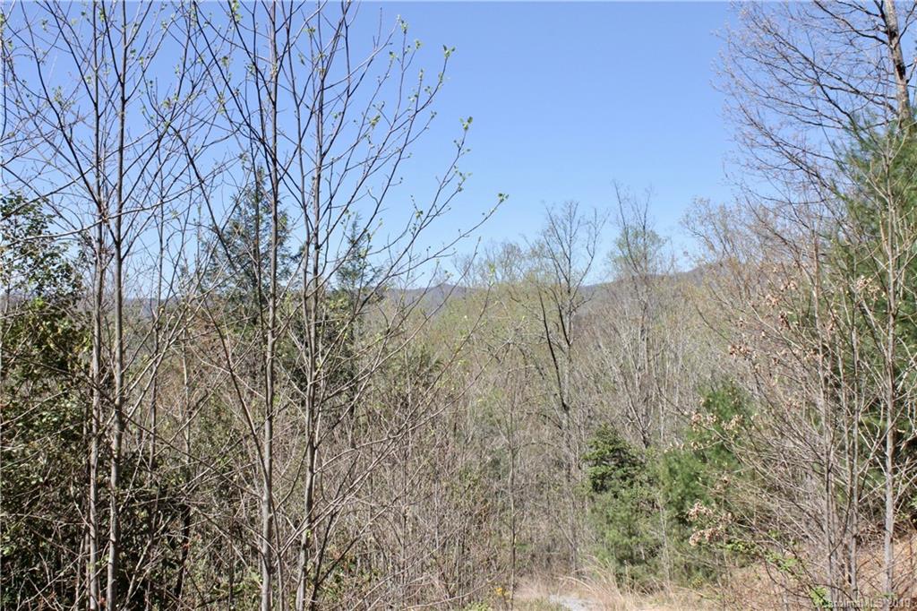 Off Poplar Gap Road Brevard, NC 28712 - Photo 14 of 27 Gallery Image 14