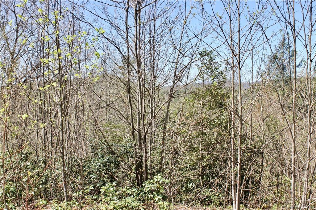 Off Poplar Gap Road Brevard, NC 28712 - Photo 15 of 27 Gallery Image 15