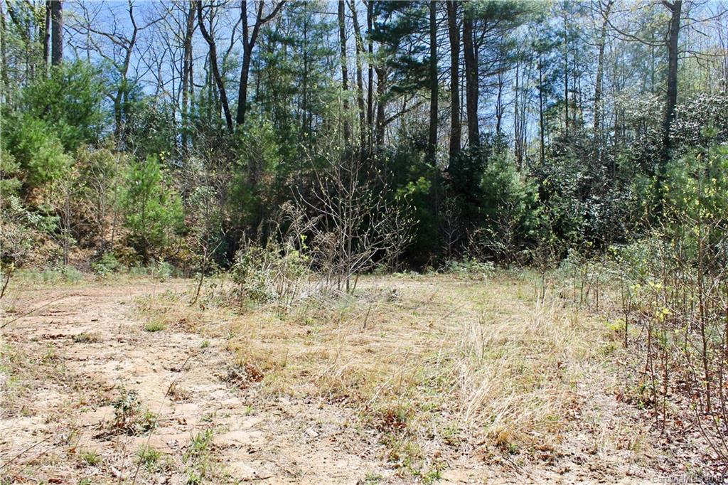 Off Poplar Gap Road Brevard, NC 28712 - Photo 16 of 27 Gallery Image 16