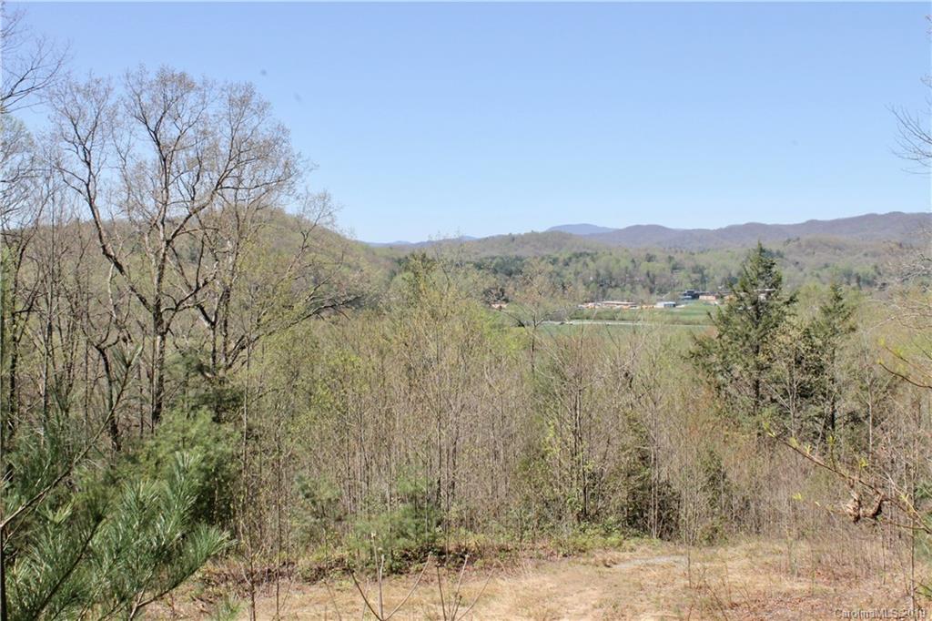 Off Poplar Gap Road Brevard, NC 28712 - Photo 17 of 27 Gallery Image 17