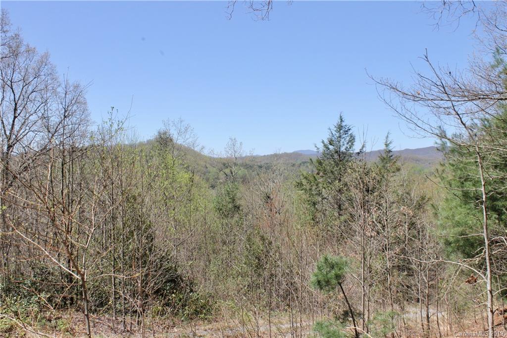Off Poplar Gap Road Brevard, NC 28712 - Photo 18 of 27 Gallery Image 18