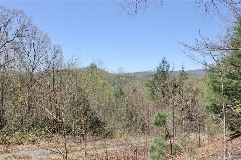 Off Poplar Gap Road Brevard, NC 28712 - Photo 19 of 27 Gallery Image 19