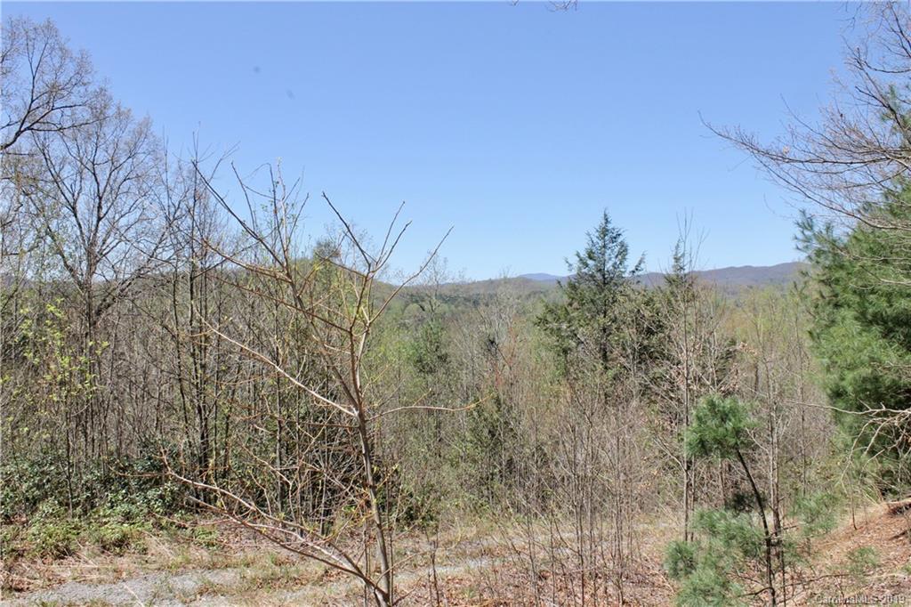 Off Poplar Gap Road Brevard, NC 28712 - Photo 20 of 27 Gallery Image 20