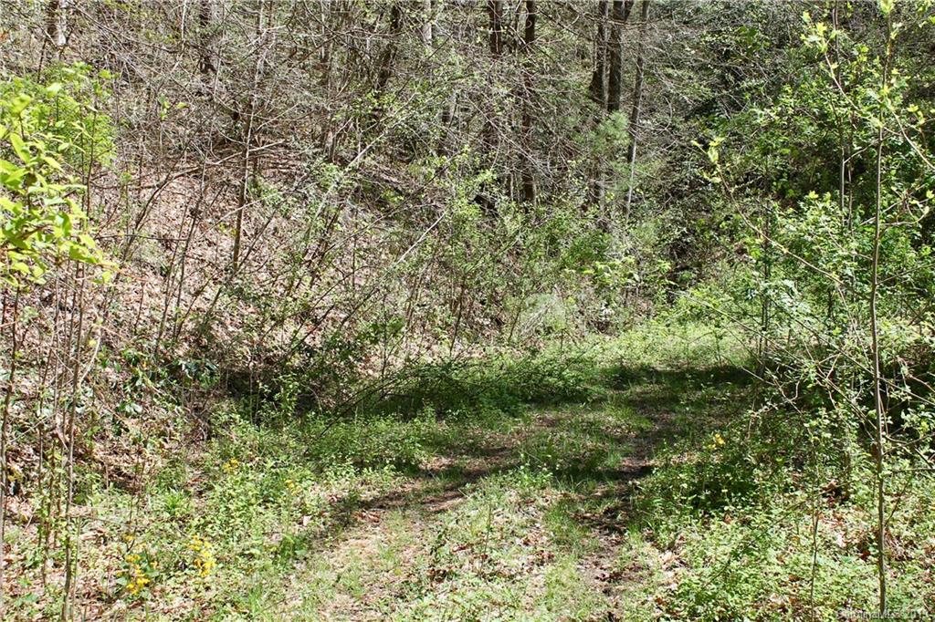Off Poplar Gap Road Brevard, NC 28712 - Photo 3 of 27 Gallery Image 3