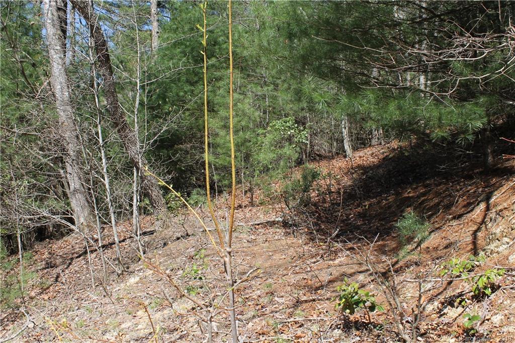 Off Poplar Gap Road Brevard, NC 28712 - Photo 21 of 27 Gallery Image 21