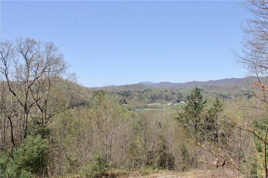 Off Poplar Gap Road Brevard, NC 28712 - Photo 22 of 27 Gallery Image 22