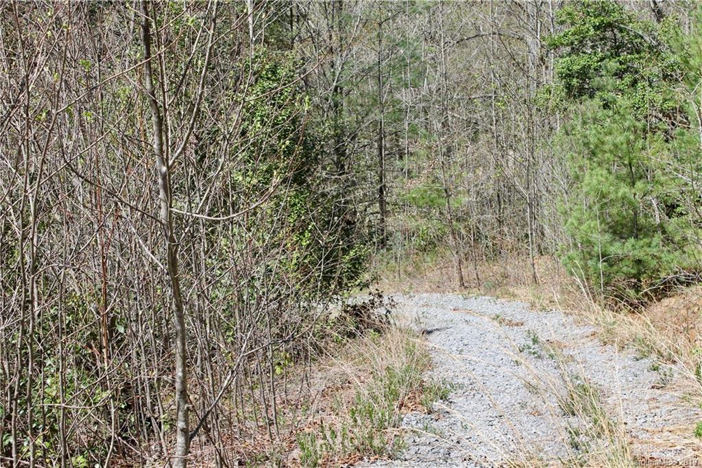 Off Poplar Gap Road Brevard, NC 28712 - Photo 23 of 27 Gallery Image 23