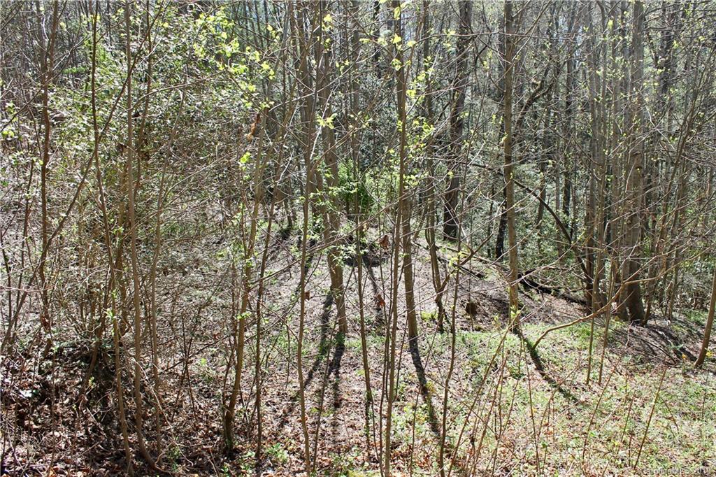 Off Poplar Gap Road Brevard, NC 28712 - Photo 24 of 27 Gallery Image 24