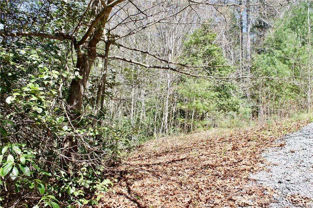 Off Poplar Gap Road Brevard, NC 28712 - Photo 25 of 27 Gallery Image 25