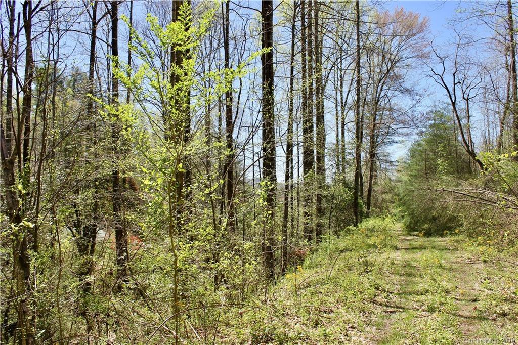 Off Poplar Gap Road Brevard, NC 28712 - Photo 26 of 27 Gallery Image 26