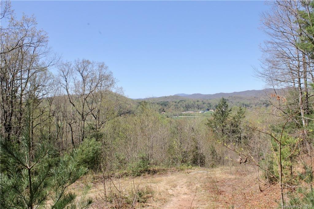 Off Poplar Gap Road Brevard, NC 28712 - Photo 27 of 27 Gallery Image 27