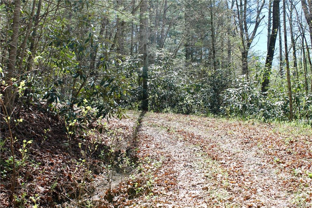 Off Poplar Gap Road Brevard, NC 28712 - Photo 5 of 27 Gallery Image 5