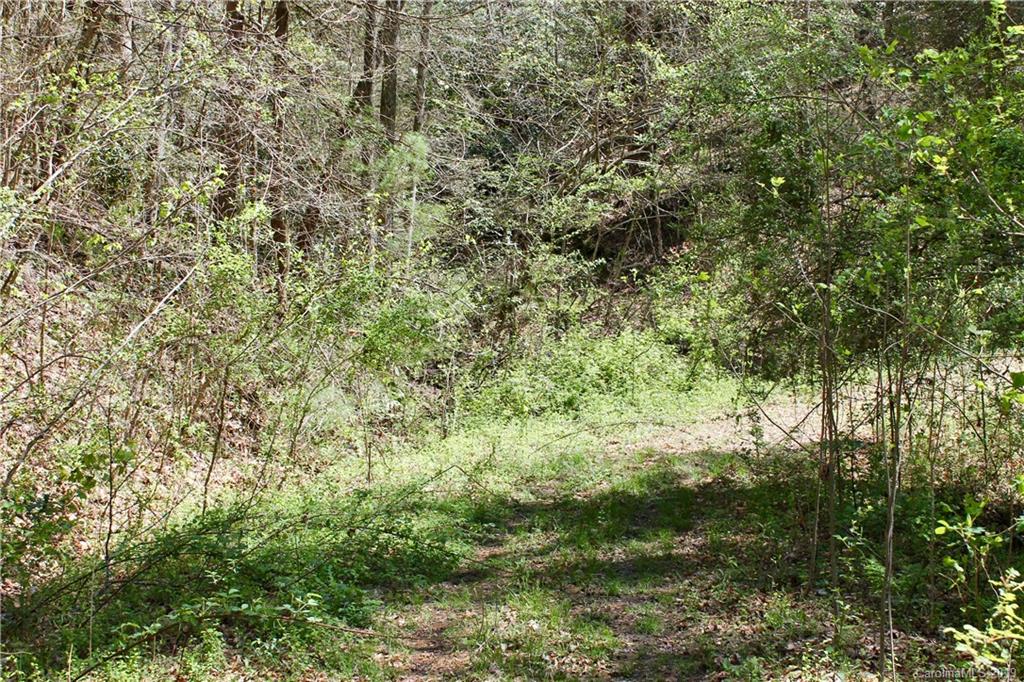 Off Poplar Gap Road Brevard, NC 28712 - Photo 6 of 27 Gallery Image 6
