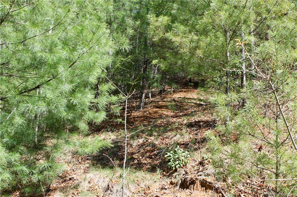 Off Poplar Gap Road Brevard, NC 28712 - Photo 7 of 27 Gallery Image 7