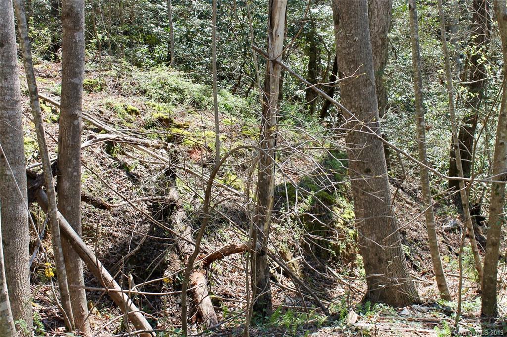Off Poplar Gap Road Brevard, NC 28712 - Photo 10 of 27 Gallery Image 10