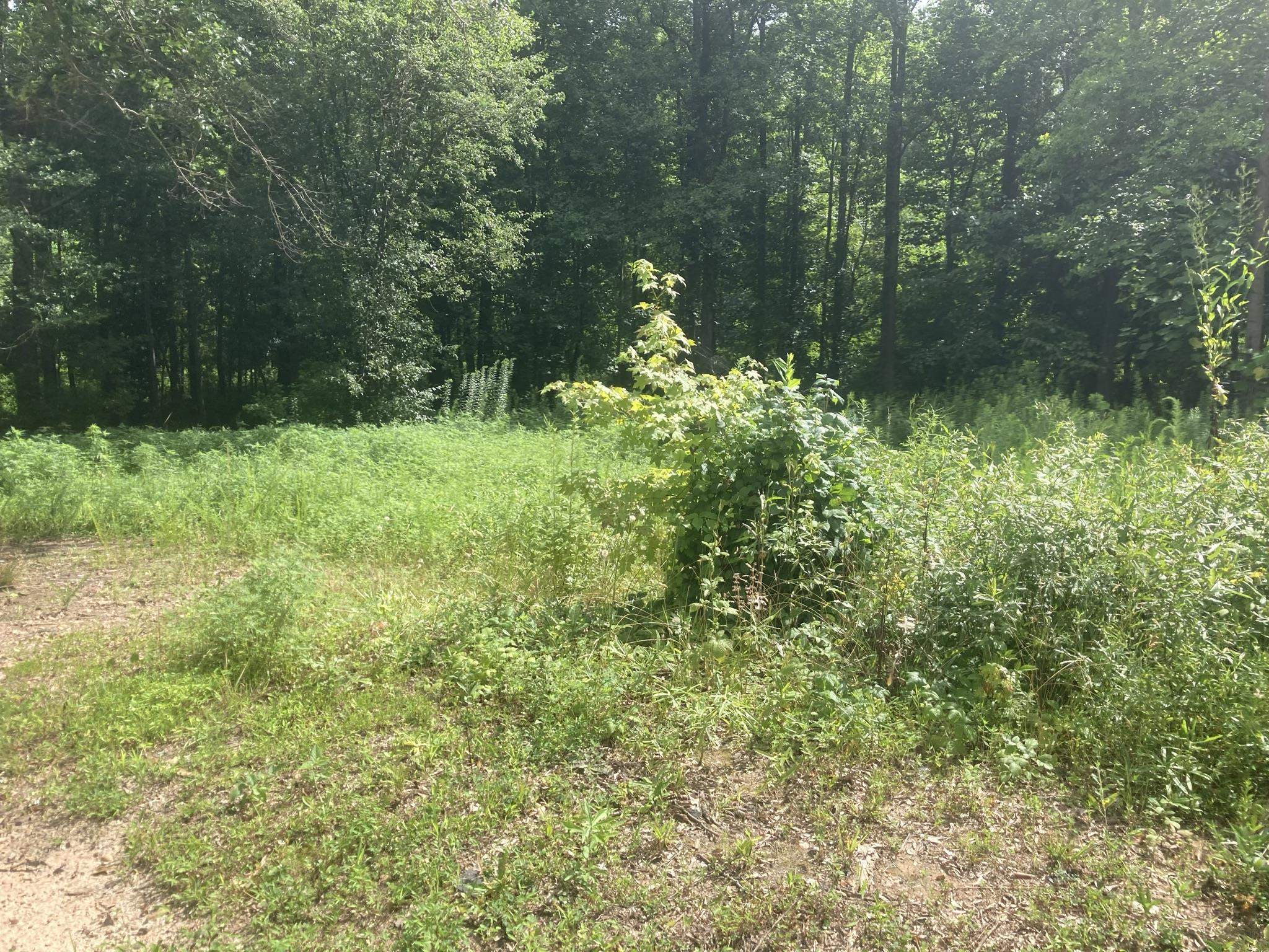 219 Penland Road Inman, SC 29349 - Photo 3 of 5