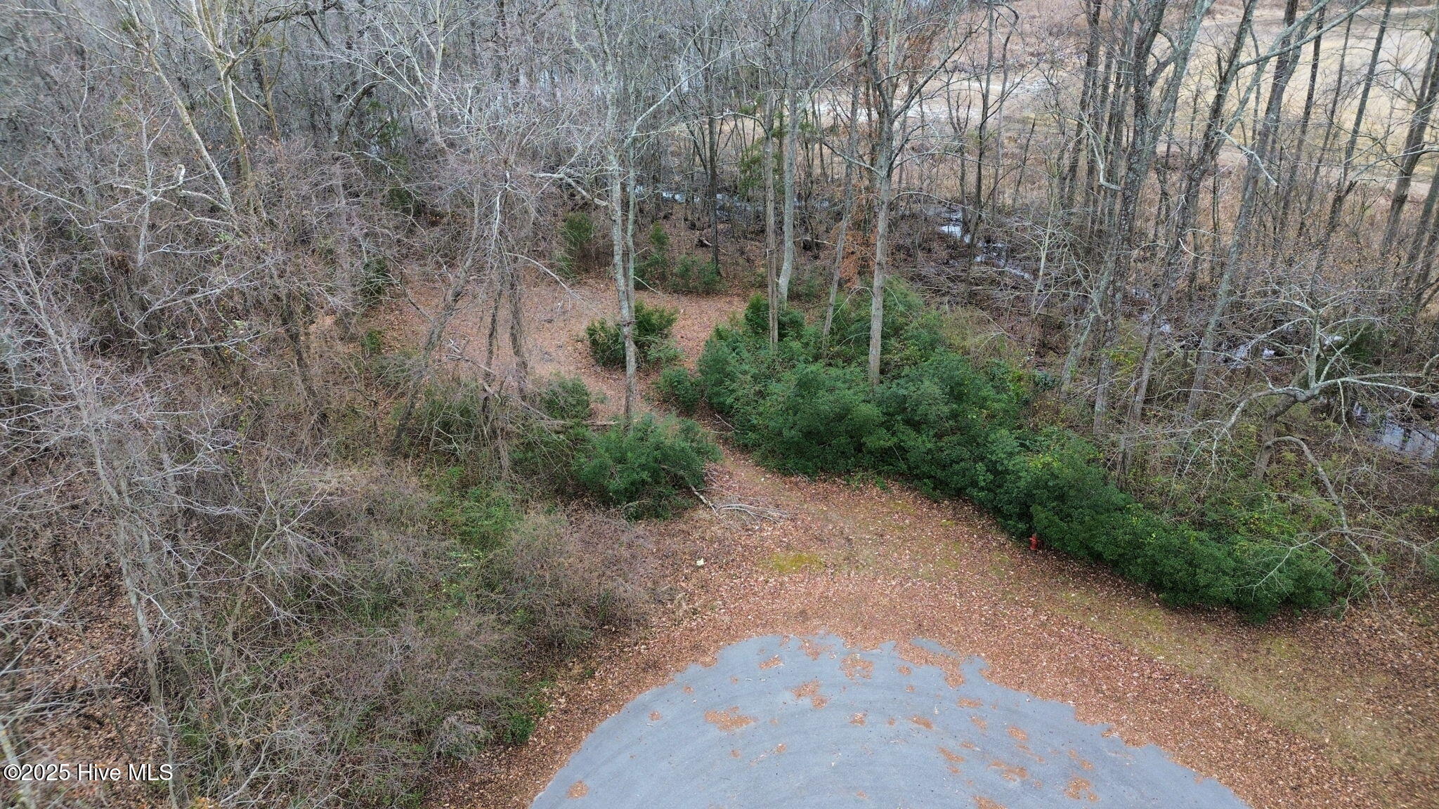 205 Juniper Drive Camden, NC 27921 - Photo 8 of 11 10-web-or-mls-dji_fly_20250111_031124_65