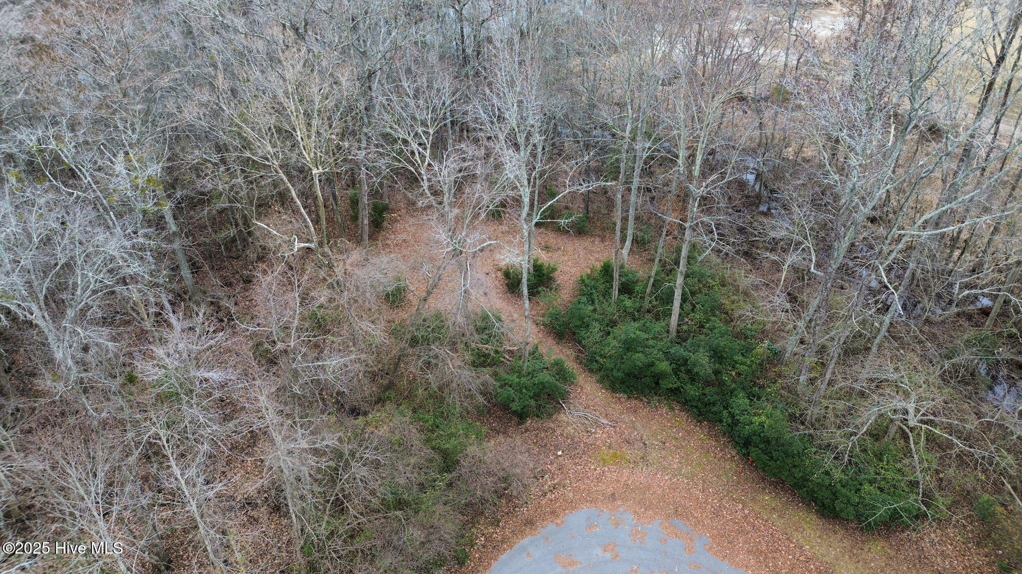205 Juniper Drive Camden, NC 27921 - Photo 9 of 11 9-web-or-mls-dji_fly_20250111_031114_655