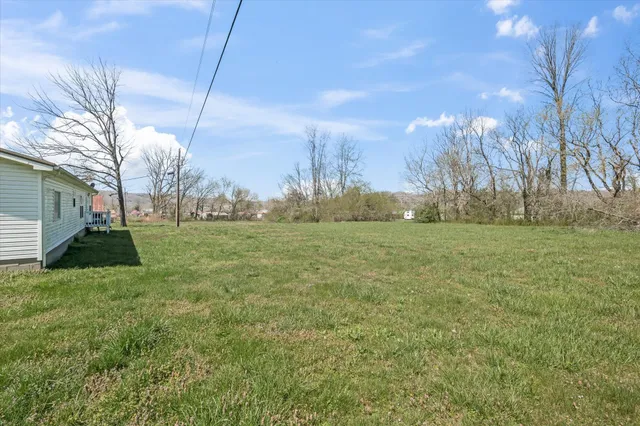 a view of a field of grass and trees