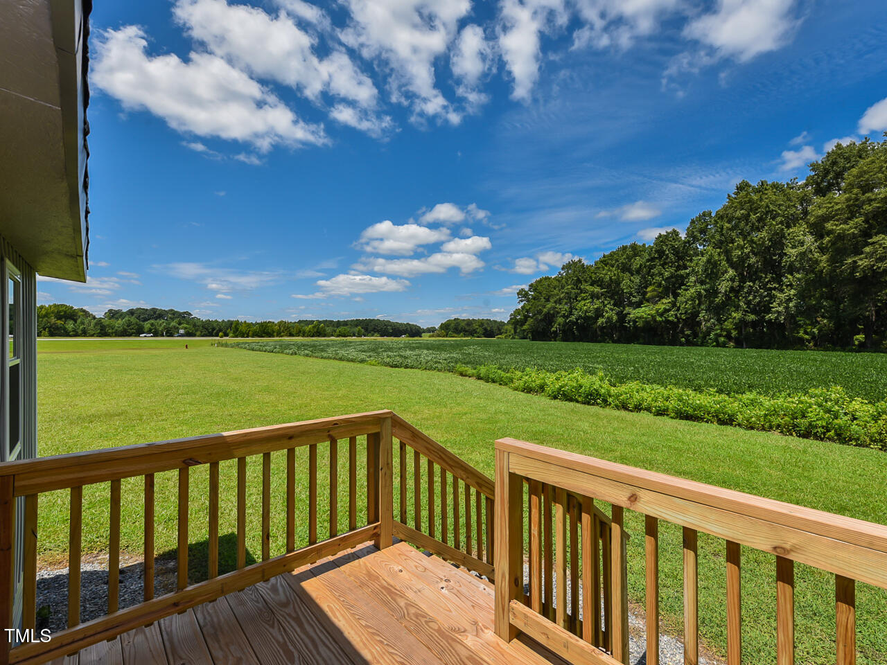232 Mitchell Farm Road Goldsboro, NC 27530 - Photo 4 of 82 1 - exterior - deck - OK