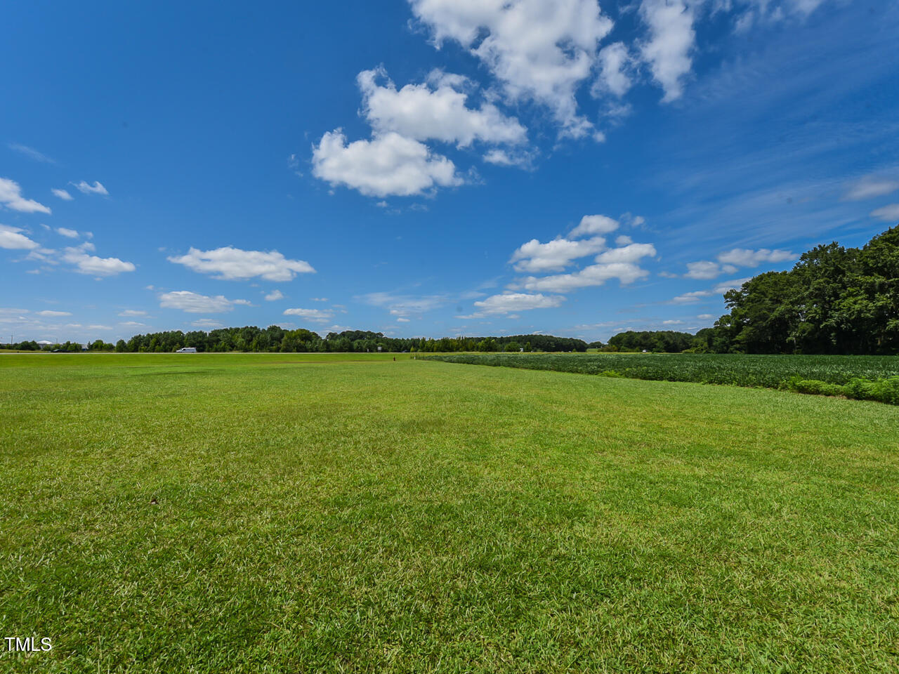 232 Mitchell Farm Road Goldsboro, NC 27530 - Photo 9 of 82 a view of a big yard with a large tree