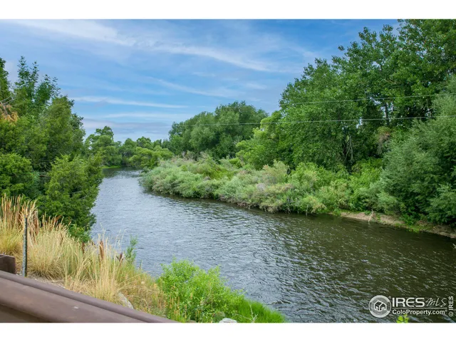 a view of a yard with plants and a wooden fence