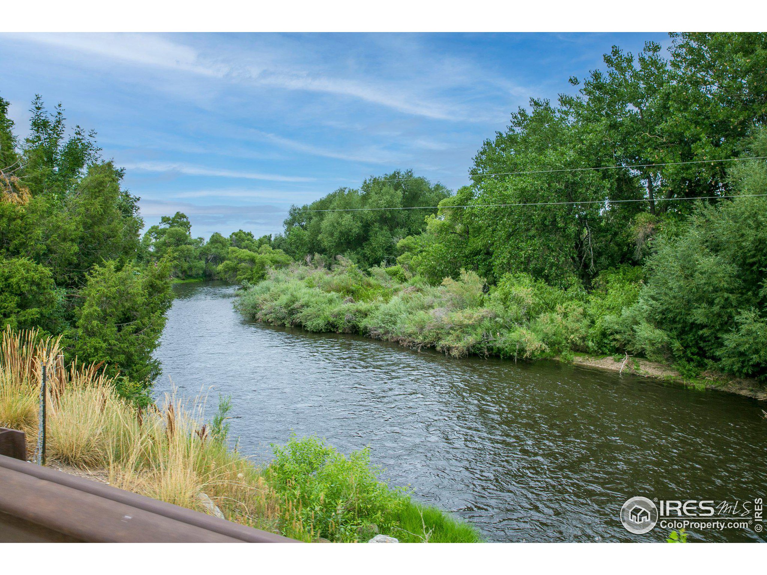 4801 East Harmony Road Fort Collins, CO 80528 - Photo 15 of 27 a view of a yard with plants and a wooden fence