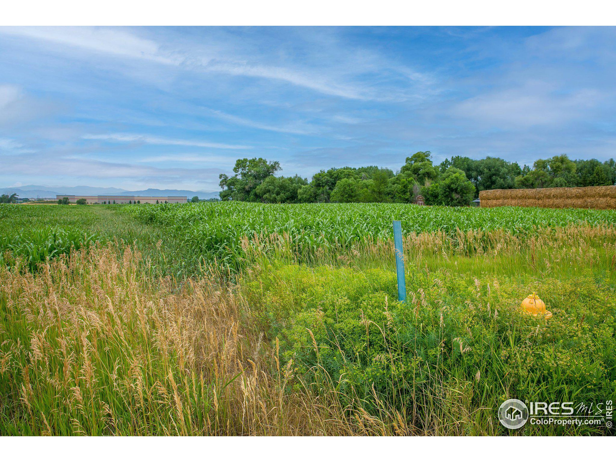 4801 East Harmony Road Fort Collins, CO 80528 - Photo 16 of 27 a view of a green yard with a lake view