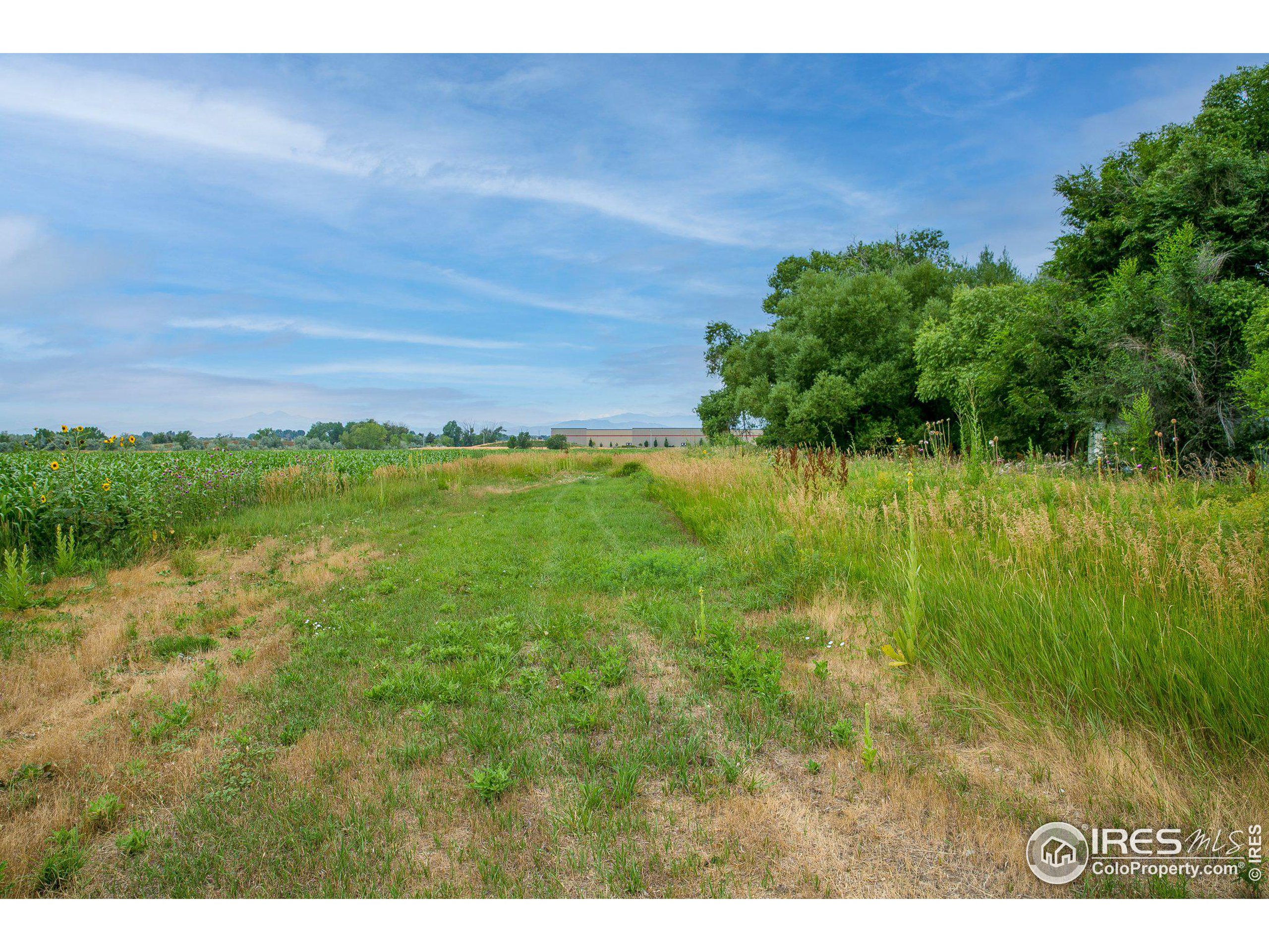 4801 East Harmony Road Fort Collins, CO 80528 - Photo 17 of 27 a view of a big yard with large trees