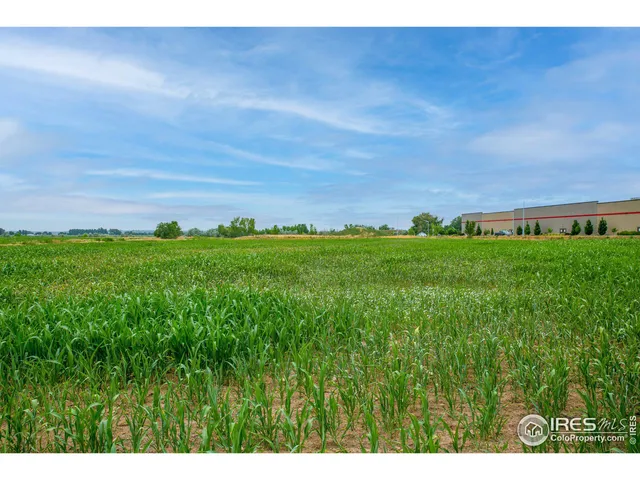 a view of a big yard with large trees
