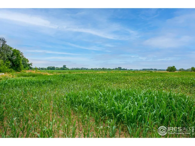 a view of a field of grass and trees