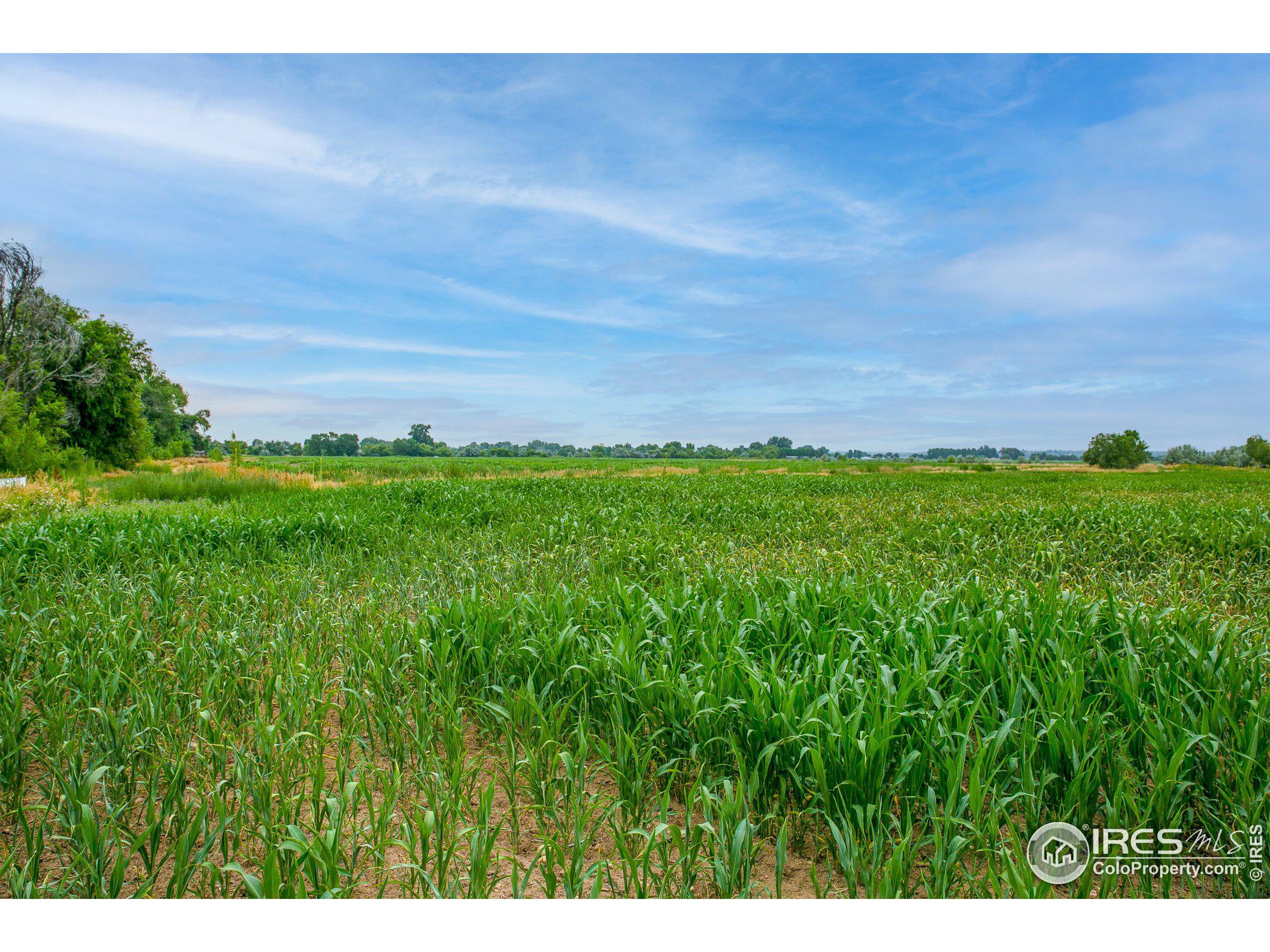 4801 East Harmony Road Fort Collins, CO 80528 - Photo 8 of 27 a view of a field of grass and trees