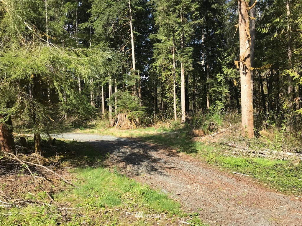2404 Mosquito Lake Road Deming, WA 98244 - Photo 9 of 15 Gallery Image 9