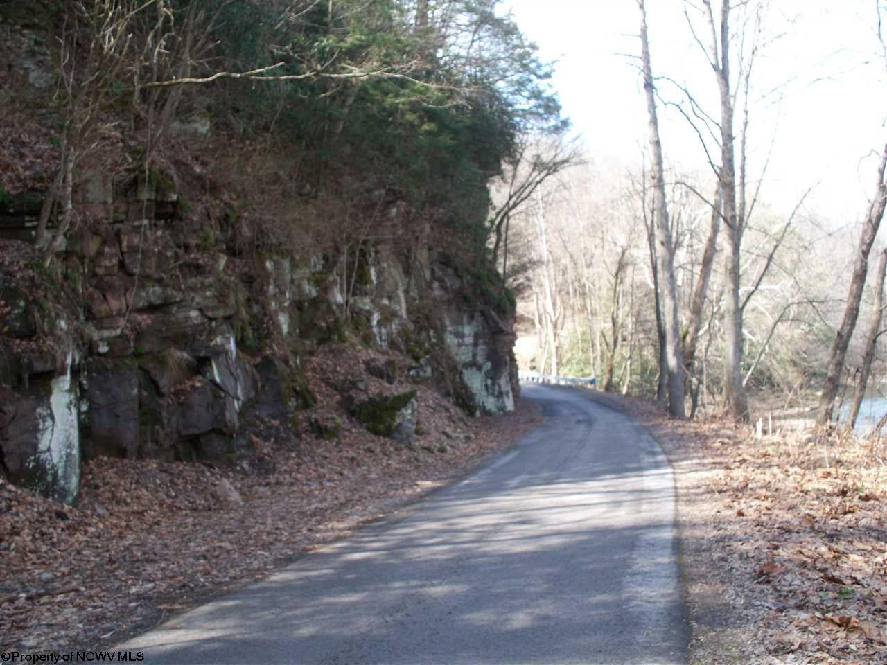 219-17 Brooklyn Heights Road Parsons, WV 26287 - Photo 2 of 4 Gallery Image 2