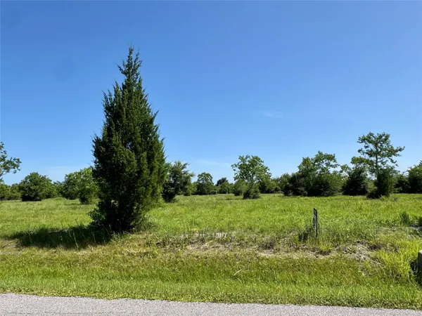 a view of a garden with a tree