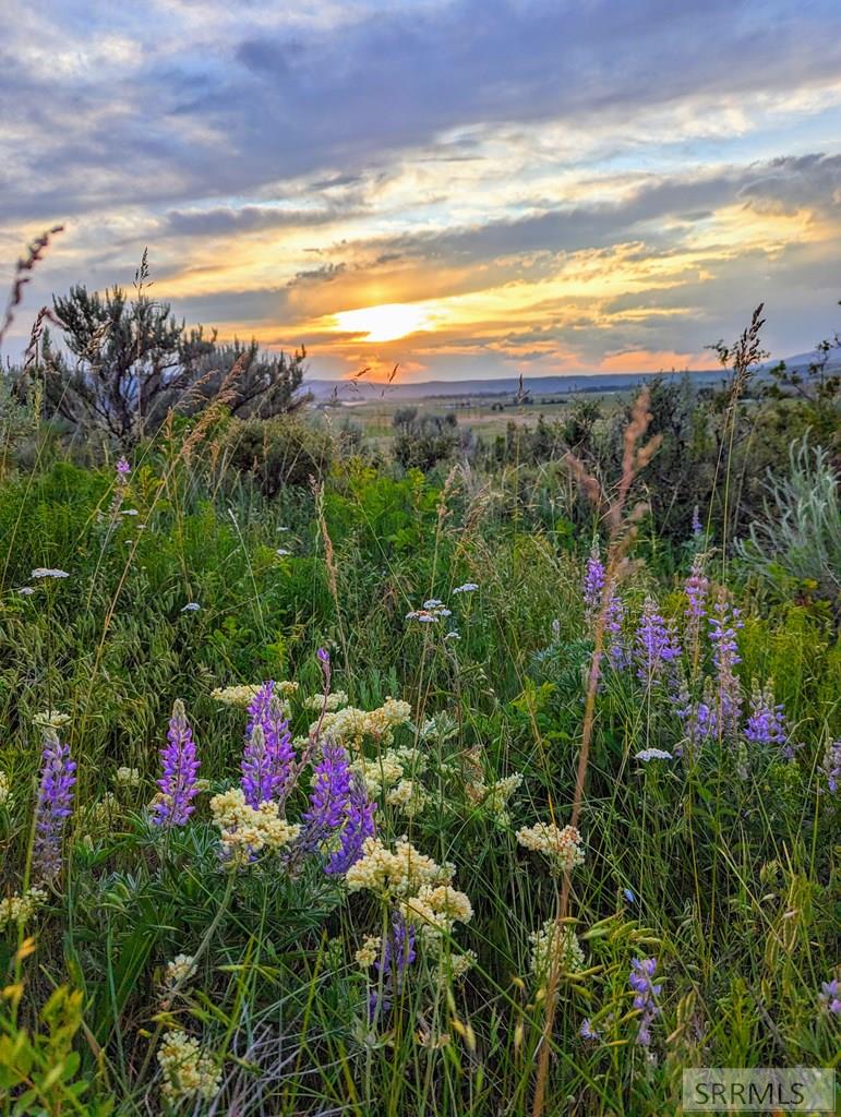 186 Elk Ridge Drive Swan Valley, ID 83449 - Photo 23 of 27